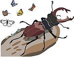 Logo projektu Ze života hmyzu