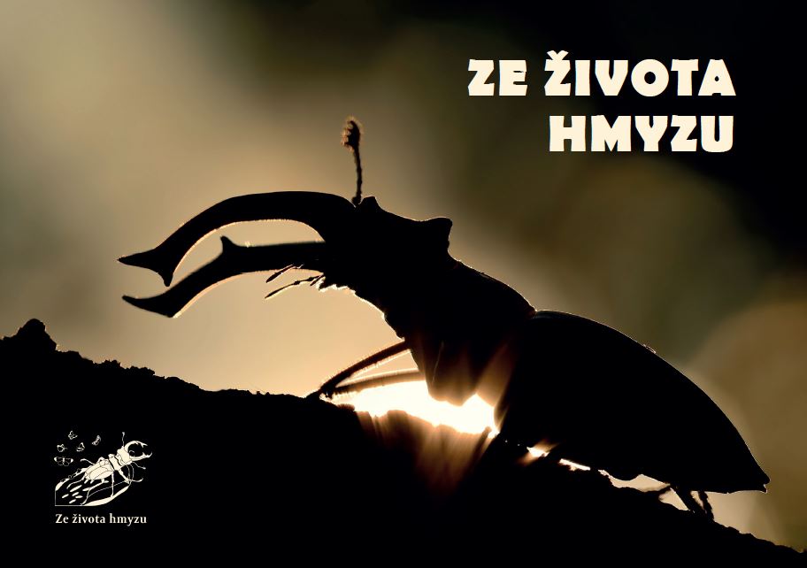 Informační brožura o projektu Ze života hmyzu 2020