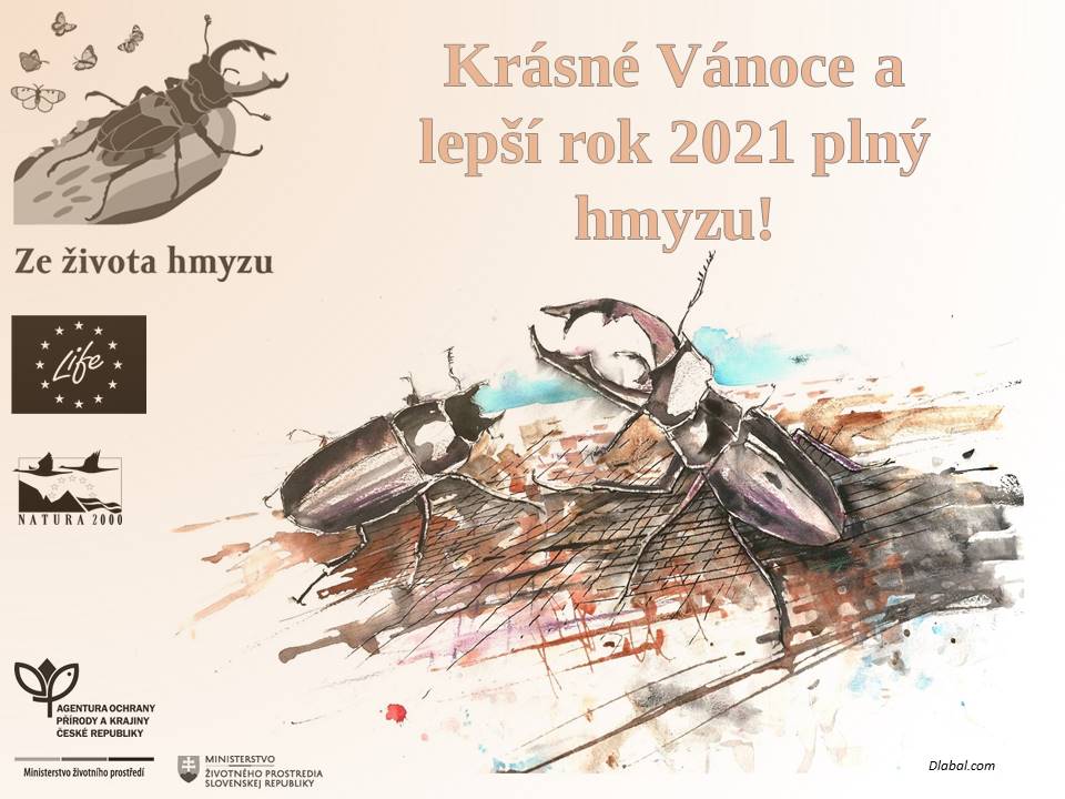 PF 2021 Ze života hmyzu