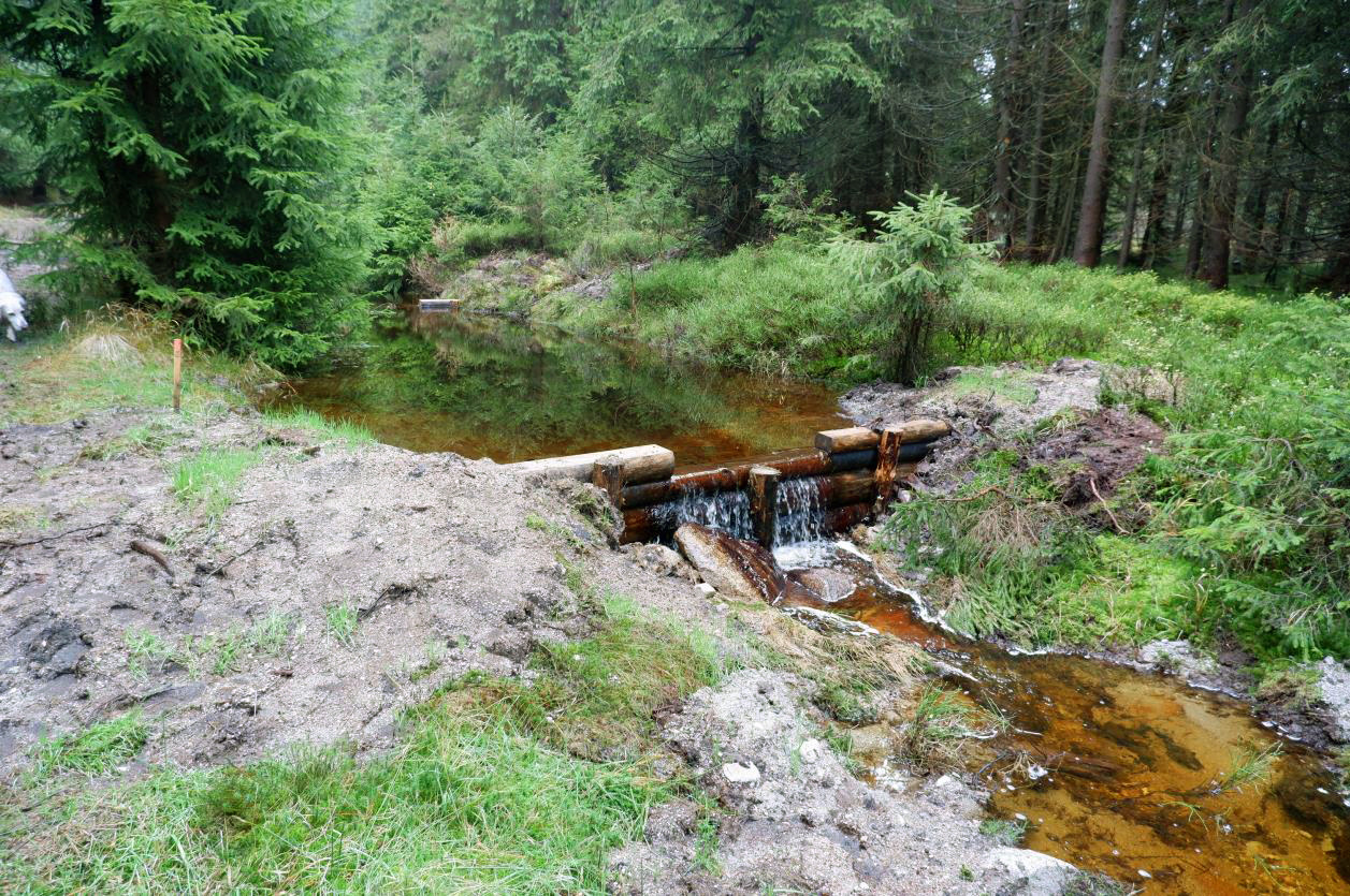 Revitalizace pramenné části Černého potoka, II. etapa