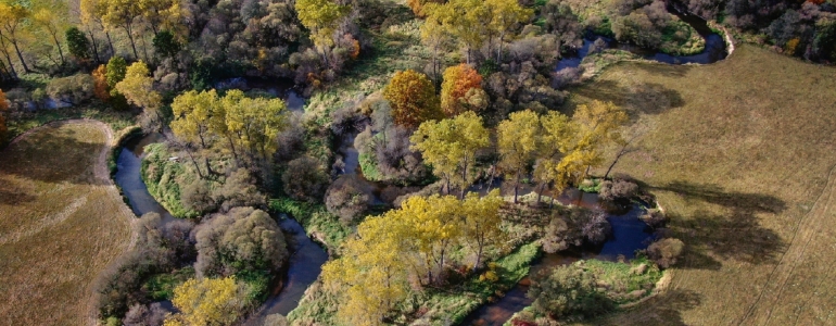 Steppes in Ukraine, photo: Bashkatov Vitalii