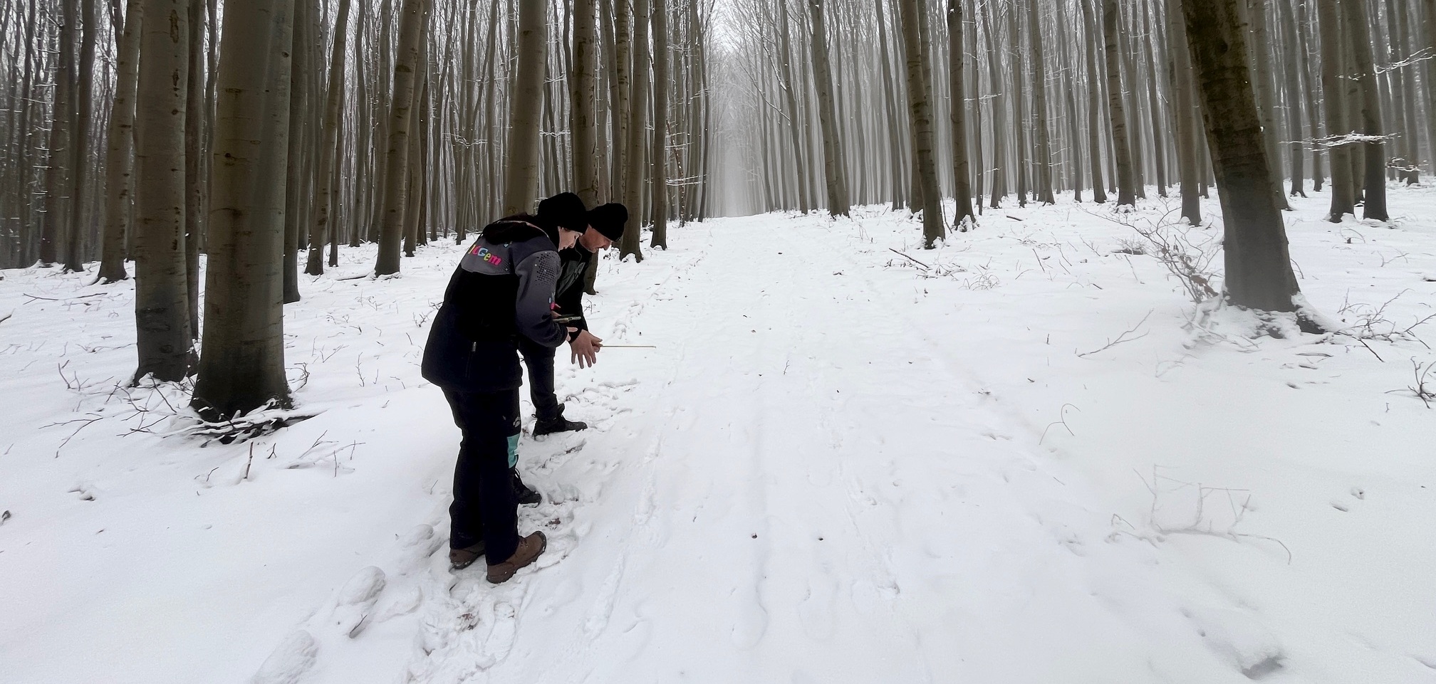 Mapování velkých šelem v Bílých Karpatech.