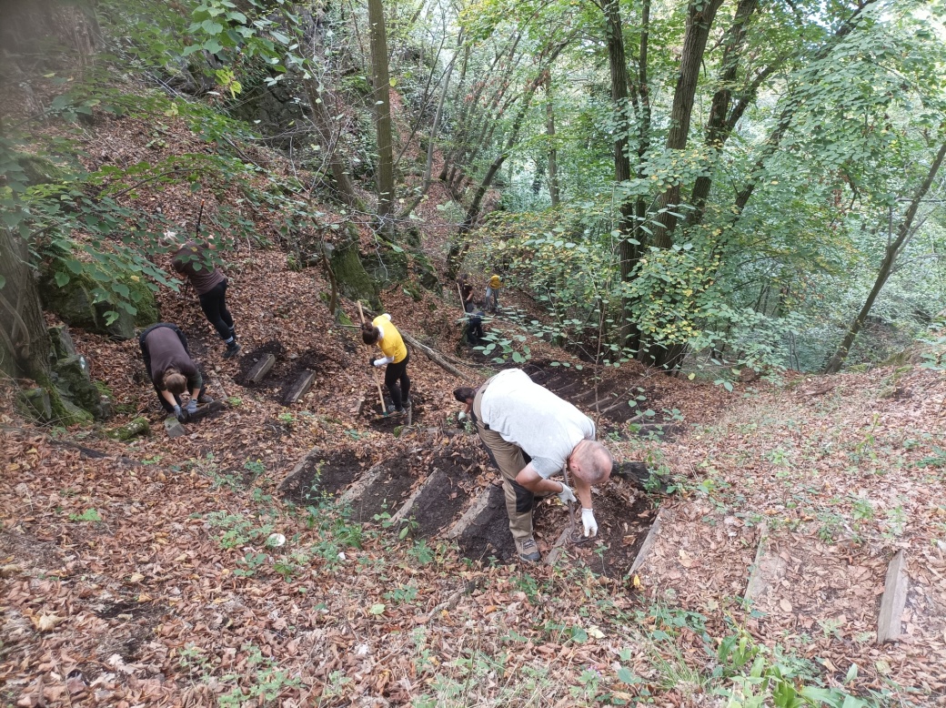 Dobrovolníci opravují schody ve stráni.