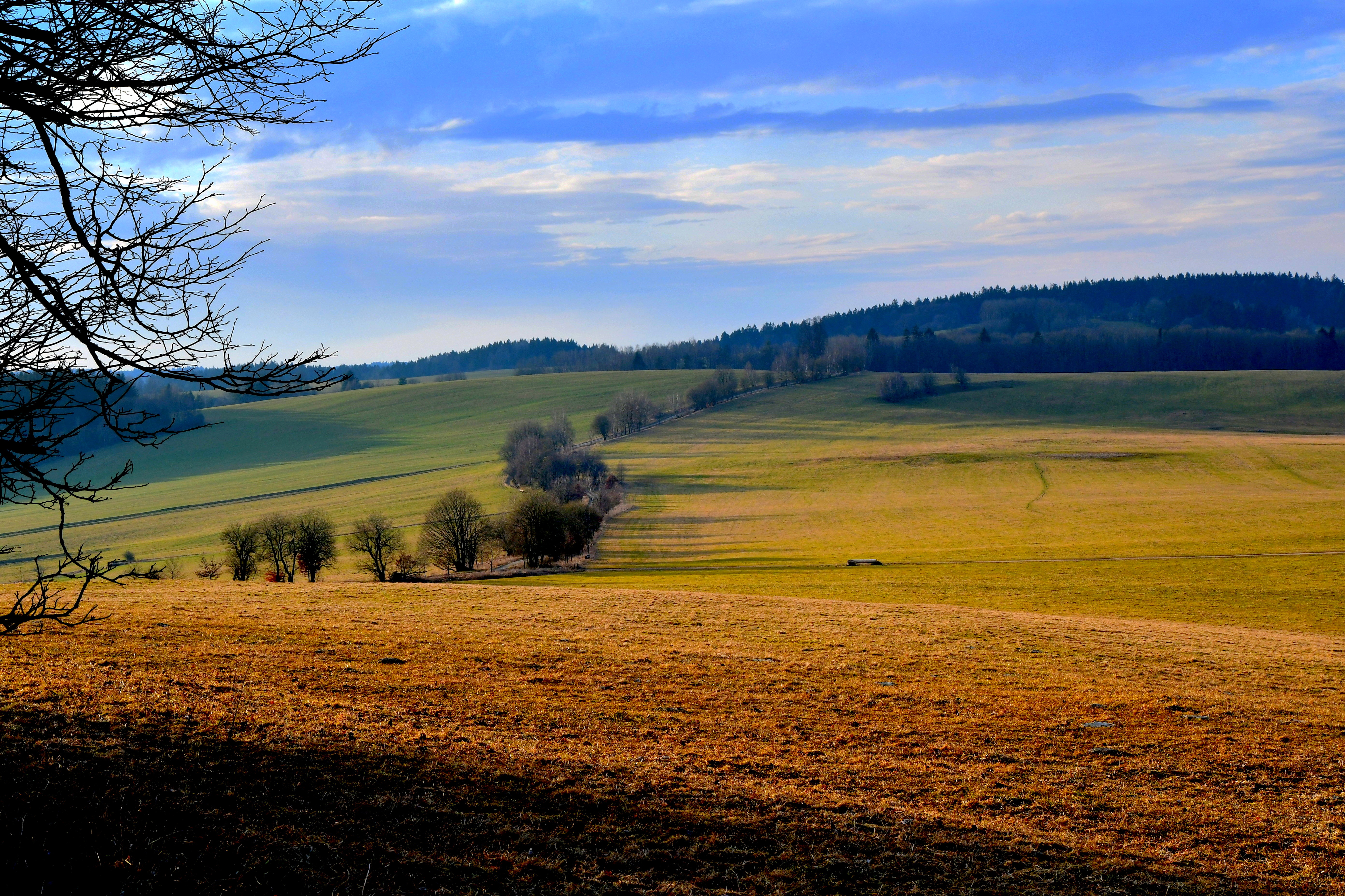 třetí místo Jaroslava Karesová, krajina na Bažantově