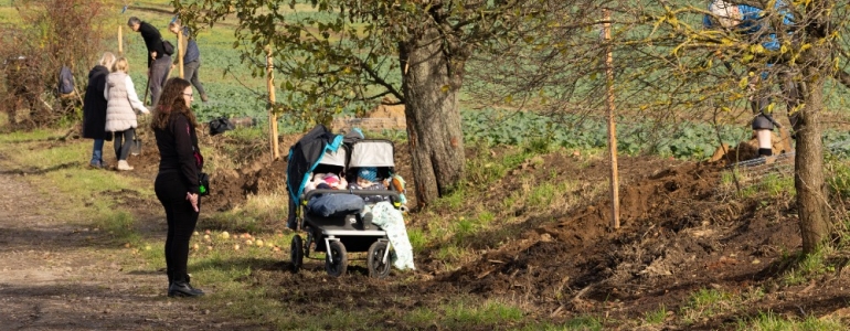 70 let CHKO Český ráj připomíná nová ovocná alej pod Humprechtem